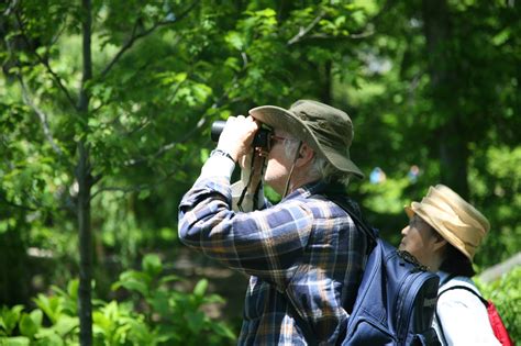 Why Birdwatch? – The Wild Side of Trois Rivières