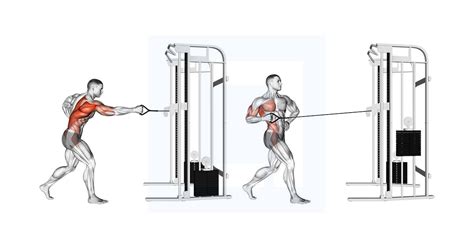 Cable Twisting Standing Row - Guide, Benefits, and Form