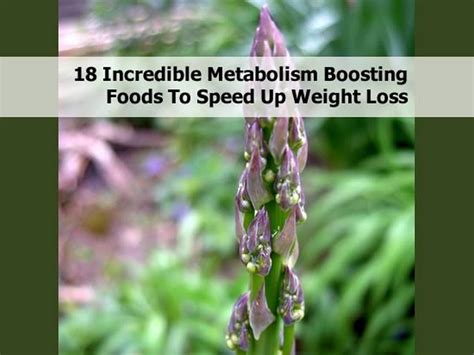 18 Incredible Metabolism Boosting Foods To Speed Up Weight Loss