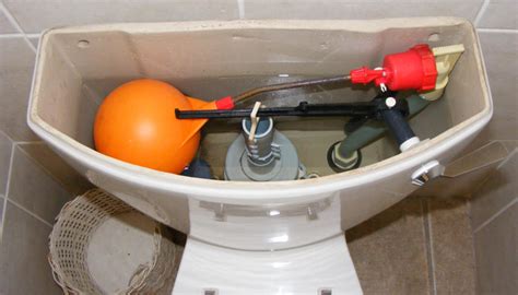 Toilet Tank Wont Fill With Water - Find Property to Rent