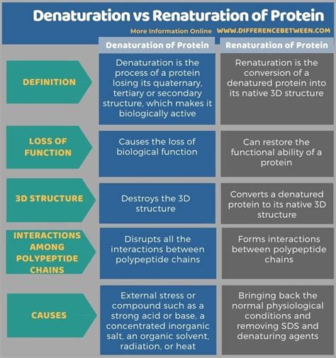 Difference Between Denaturation and Renaturation of Protein | Compare the Difference Between ...