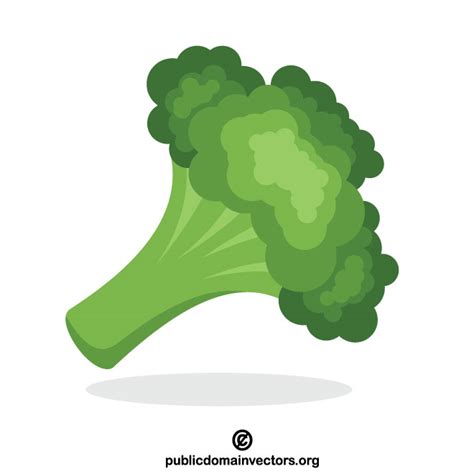 Broccoli clip art Royalty Free Stock SVG Vector and Clip Art