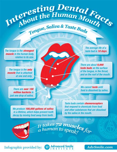 Interesting Fun Dental Facts Of Teeth And Mouth - Advanced Smile Institute Dentistry