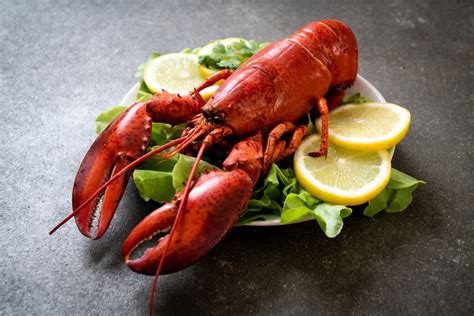 Cooked Boston Lobster (350 – 450g) - Savour Gourmet