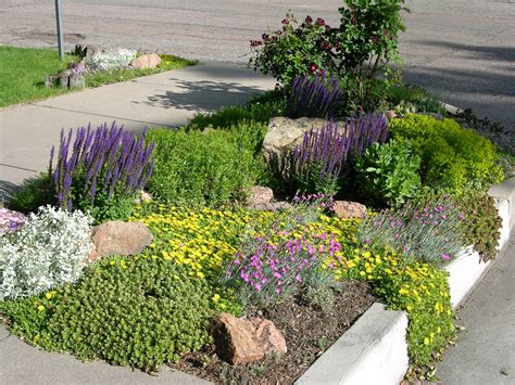 A road edge planting. Frequently called a "hellstrip" because it is a hot, dry and often ...