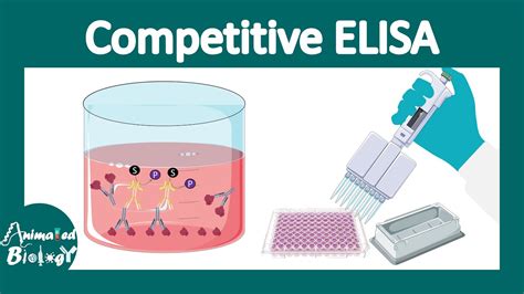 Competitive ELISA | Principles and applications of Competitive ELISA | CSIR Unit 13 - YouTube