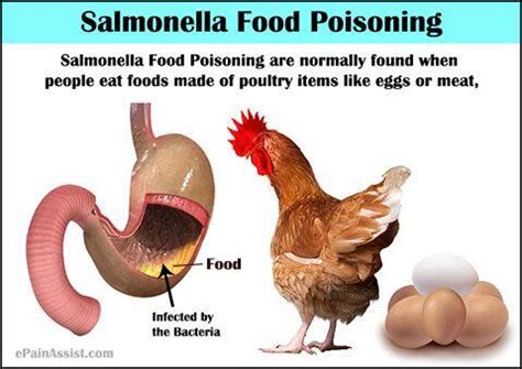 Top 3 Common Foods Behind Salmonella Poisoning — Eating Enlightenment