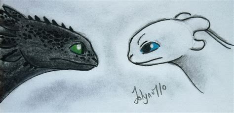 Toothless and Light Fury by Jolyn0710 on DeviantArt