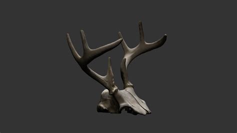 Deer Antlers (low res) - Download Free 3D model by DeeJayKaye [f4cc686] - Sketchfab