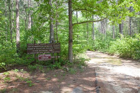 Desoto State Park: Desoto Scout Trail - Alabama Recreation Trails