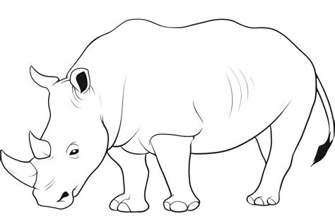 Rhino Pencil Drawing at GetDrawings | Free download