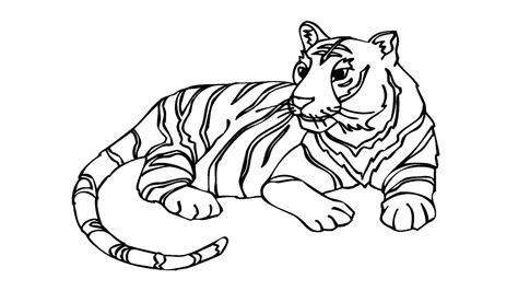 Tiger Drawing Pictures at GetDrawings | Free download