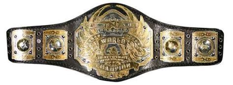 Sport - Wikipedia | Tna world heavyweight championship, World ...