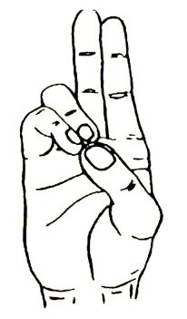 Prana-Mudra-yoga-Mudra-of-life - Sarvyoga | yoga online | yoga