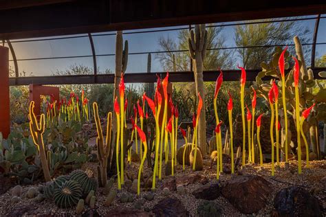 Chihuly in the Desert | Chihuly