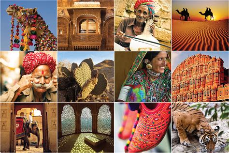 Branding | Logo Design - Rajasthan Tourism :: Behance