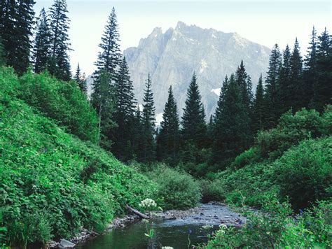 Mountain Peak Valley Scenic View Photo Print, Granite Lake Montana ...