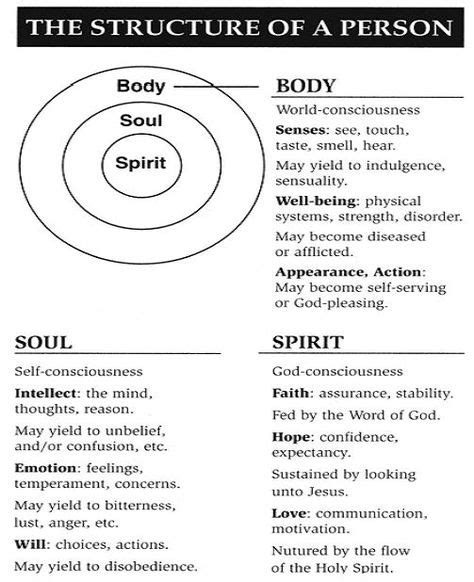 22 Body-Soul-Spirit ideas | spirit, spirit soul, body soul spirit