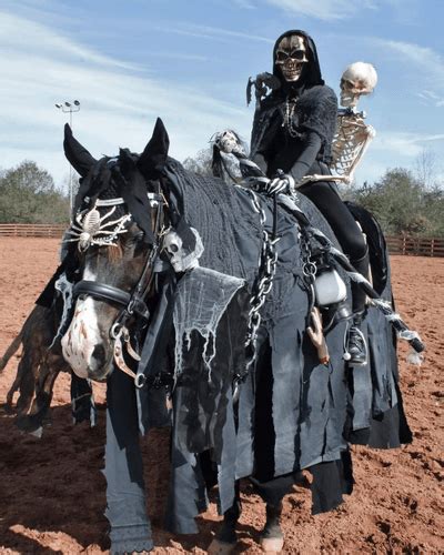 Horse and Rider Halloween Costume Ideas | Schneiders