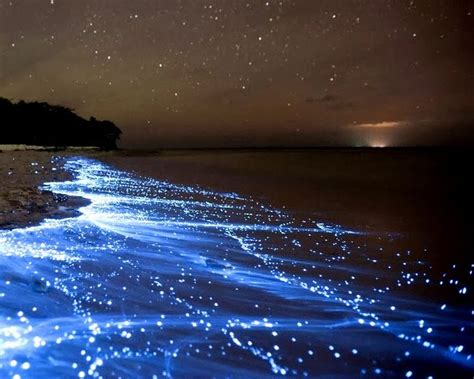 SEA OF STARS - Vadhoo Island Maldives | Lugares increibles, Lugares maravillosos, Lugares hermosos