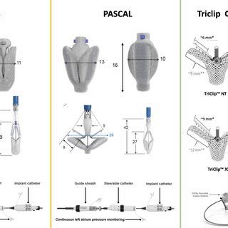 Available transcatheter tricuspid valve repair systems for tricuspid... | Download Scientific ...