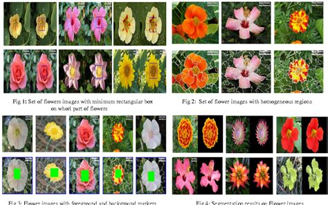 Figure 1 from Classification of Flowers : A Symbolic Approach Y H ...