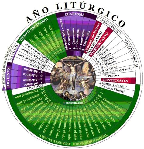 Catholic.net on X | Calendario litúrgico, Calendario liturgico catolico, El año liturgico