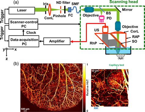 Tutorial on photoacoustic tomography