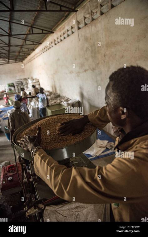 Rice mill in Sierra Leone Stock Photo - Alamy