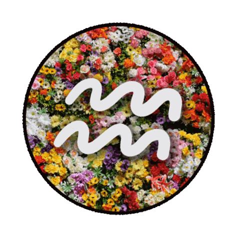 Flower Zodiac Signs Sticker - Flower Zodiac signs Aquarius - Discover & Share GIFs