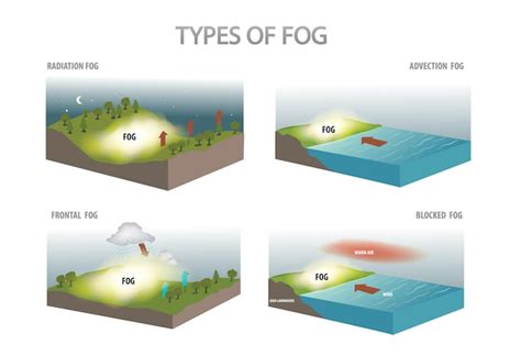 Premium Vector | Types of fog diagram