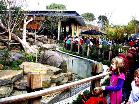 panda exhibit | The $8 million panda exhibit at Adelaide Zoo… | Flickr