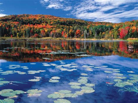 Every fall, the Québec City Area comes alive in an amazing blaze of autumn colour. It's a great ...