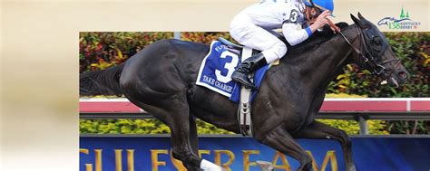 a man riding on the back of a black horse down a race track with bushes in the background