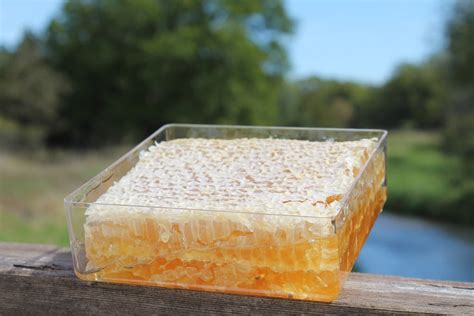 Raw Comb Honey Pure Natural Nebraska Honey (one) 1lb Cut Comb – Prairie River Honey Farm