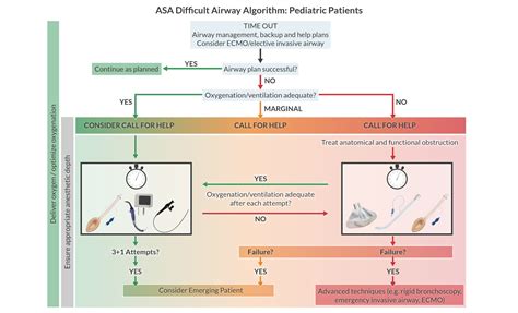 2022 ASA Difficult Airway Algorithm: What’s New? | APEX Anesthesia | Board Review, CRNA ...