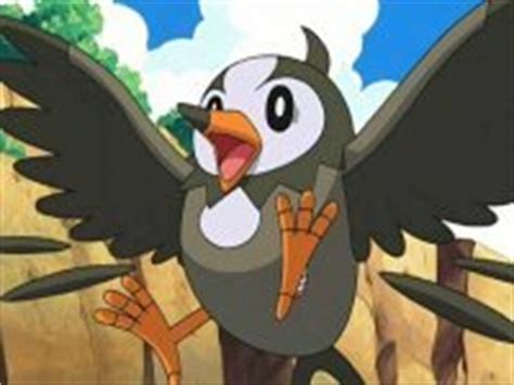 Episode 481 - A Staravia Is Born!