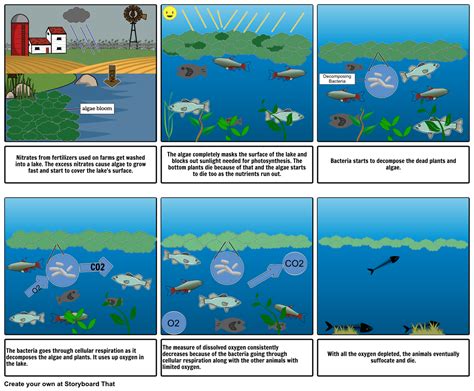 biochemistry - How does eutrophication yield lower levels of dissolved oxygen? - Biology Stack ...