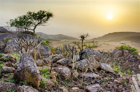 Explore Nature & Landscapes Of Nigeria: Pictures - Politics - Nigeria