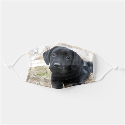 Puppy Black Labrador Cute Dog Labrador Black Lab Adult Cloth Face Mask ...