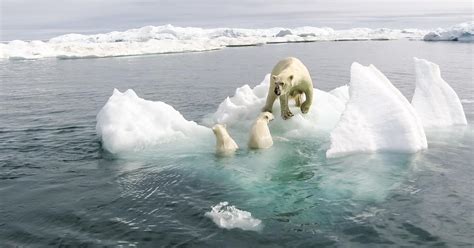 Global Warming Causes