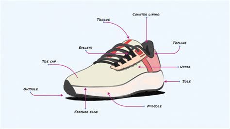 What is the Midsole of a Shoe & Why is It Important? | RunnerClick