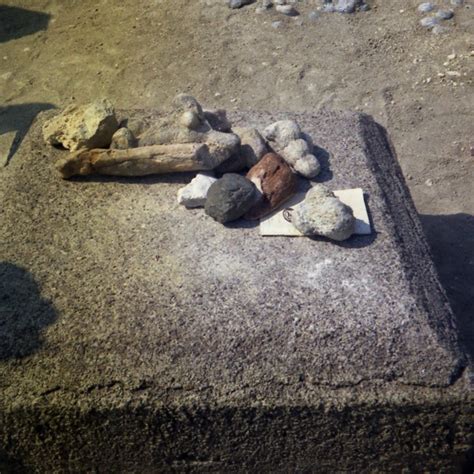 Olduvai Gorge Fossils | Flickr - Photo Sharing!