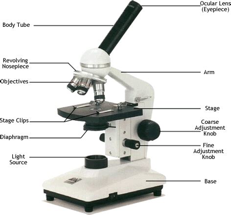 Microscopy