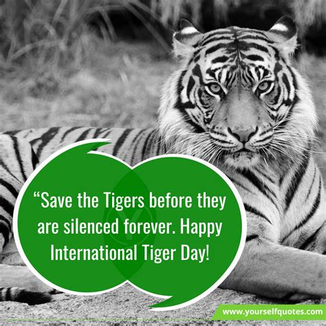 Save The Tigers Slogan