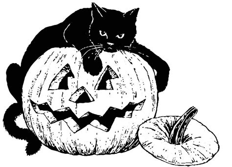 Coloriage chat noir sur citrouille - Gratuit à Imprimer - Img 16101