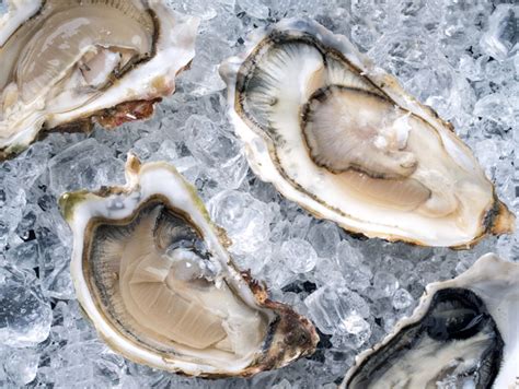 Georgia Commercial Oyster Season Closes for Summer - Perishable News