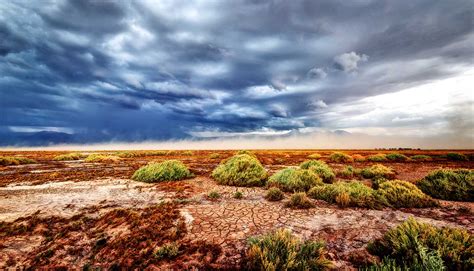 Heavy rain brought death to arid Atacama Desert - Futurity