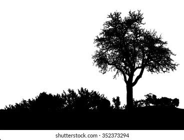 130,510 Bush Silhouette Royalty-Free Images, Stock Photos & Pictures ...