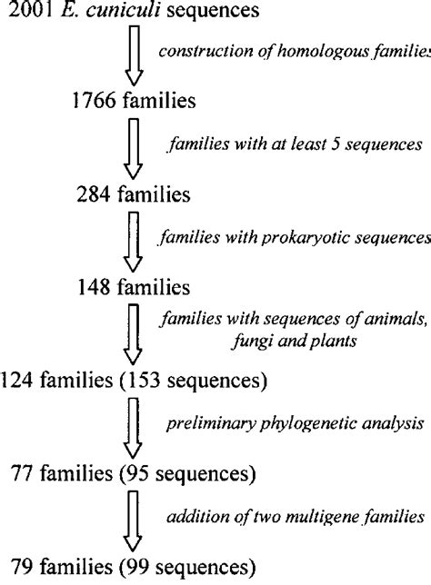 Selection of homologous sequence families. | Download Scientific Diagram